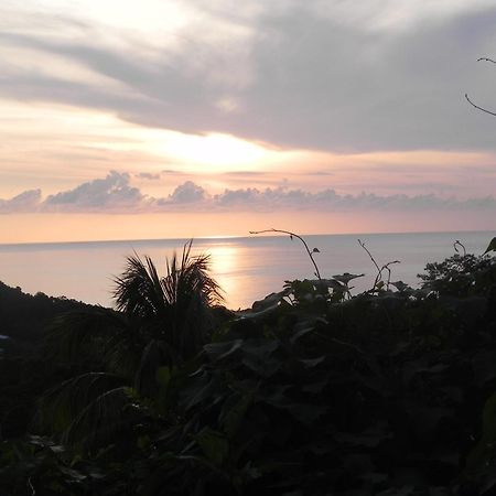 Villa Mielecajou, Entre Mer Et Montagne Deshaies Luaran gambar