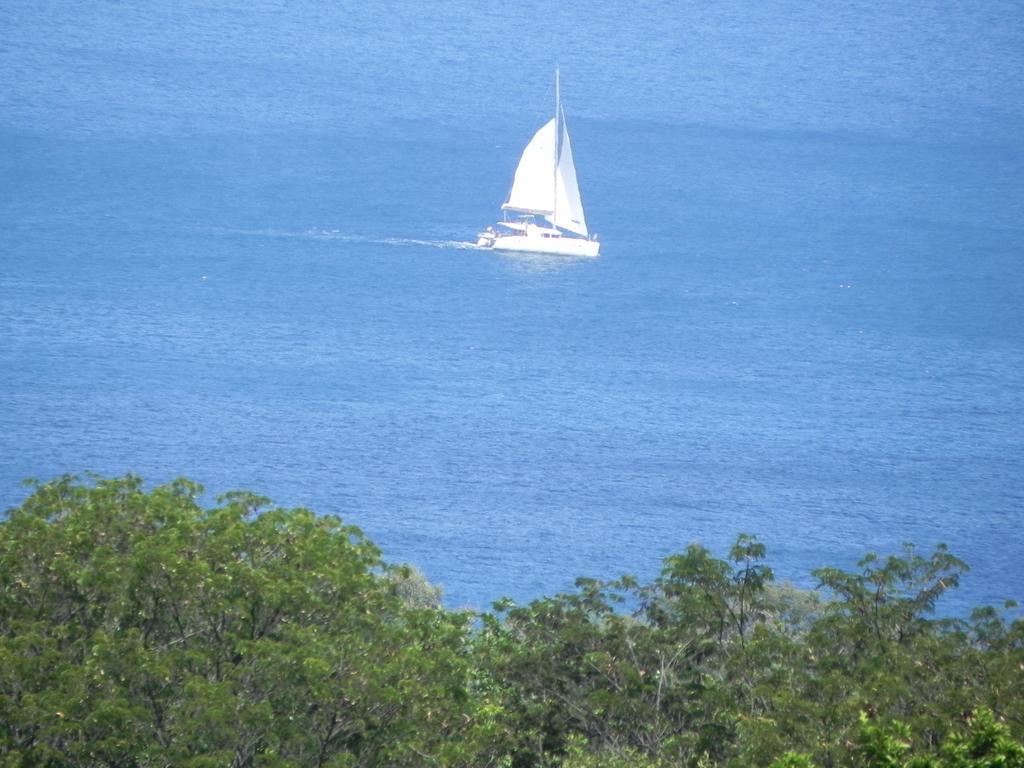 Villa Mielecajou, Entre Mer Et Montagne Deshaies Luaran gambar