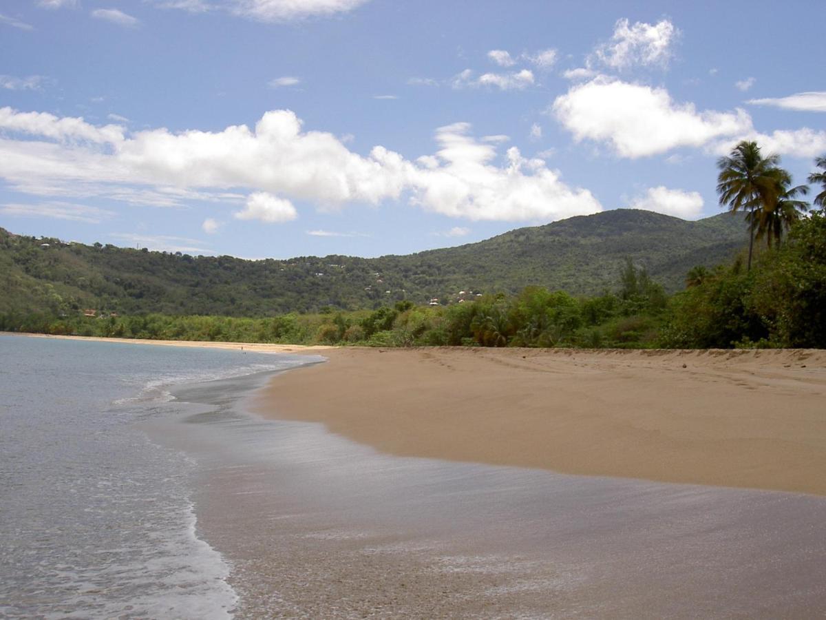 Villa Mielecajou, Entre Mer Et Montagne Deshaies Luaran gambar